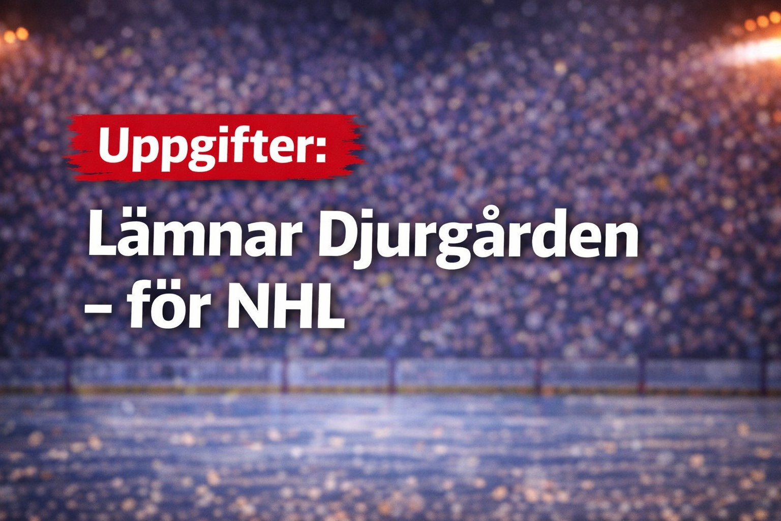 Djurgården Hockey: Uppgifter: Lämnar Djurgården - för NHL