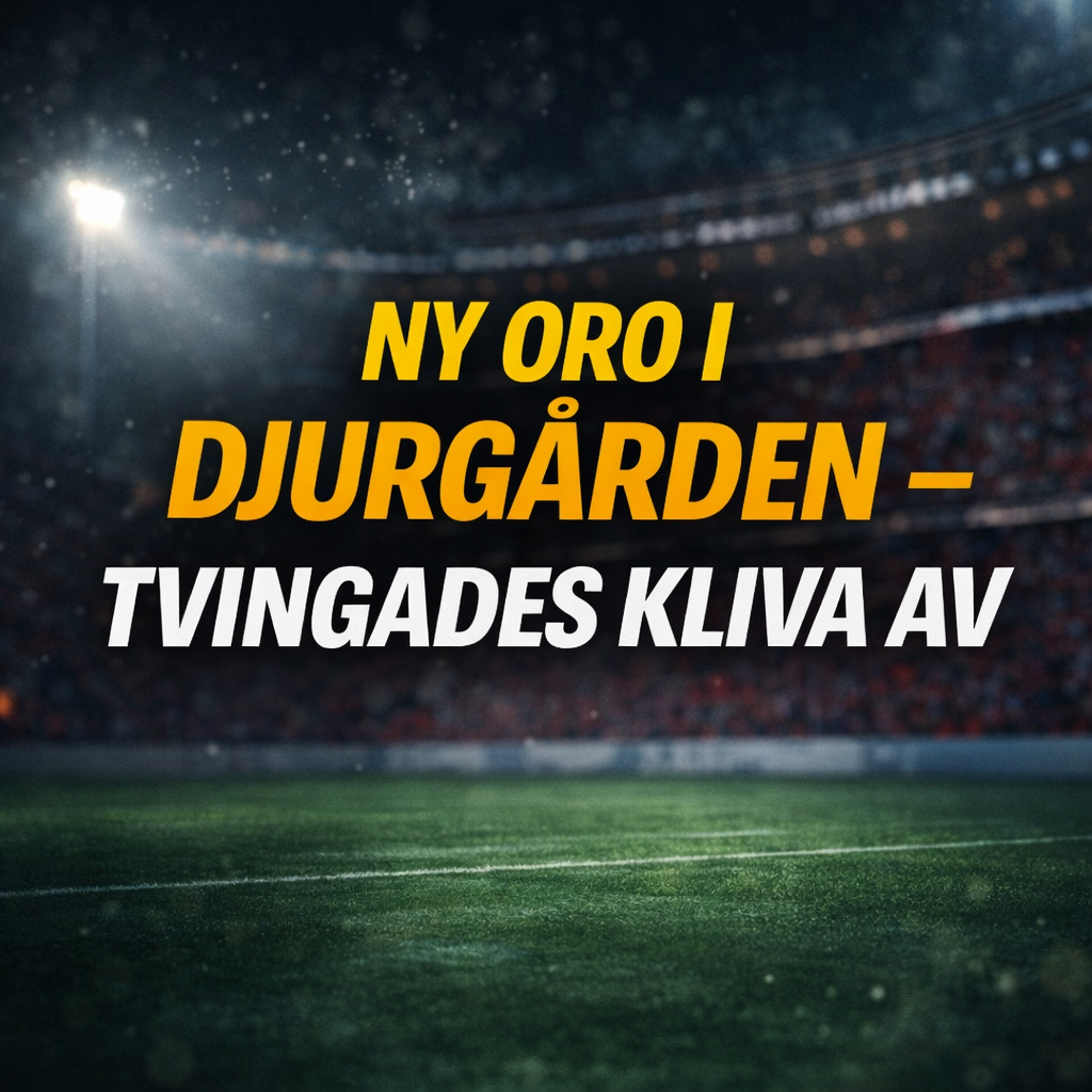 Djurgården Fotboll: Ny oro i Djurgården – tvingades kliva av