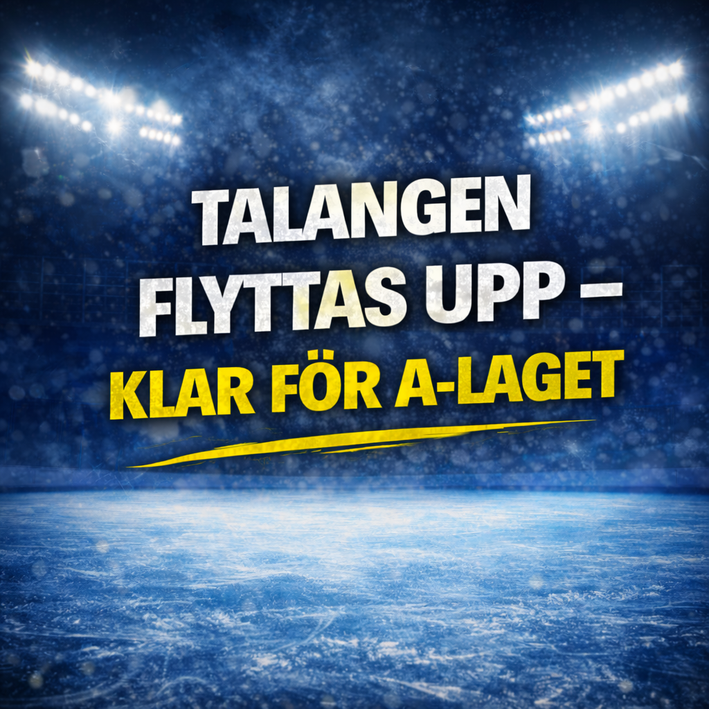 Leksands IF: Leksand säkrar framtiden