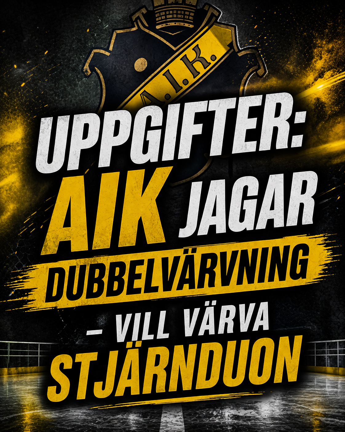 AIK Hockey: UPPGIFTER: AIK jagar dubbelvärvning – vill värva stjärnduon