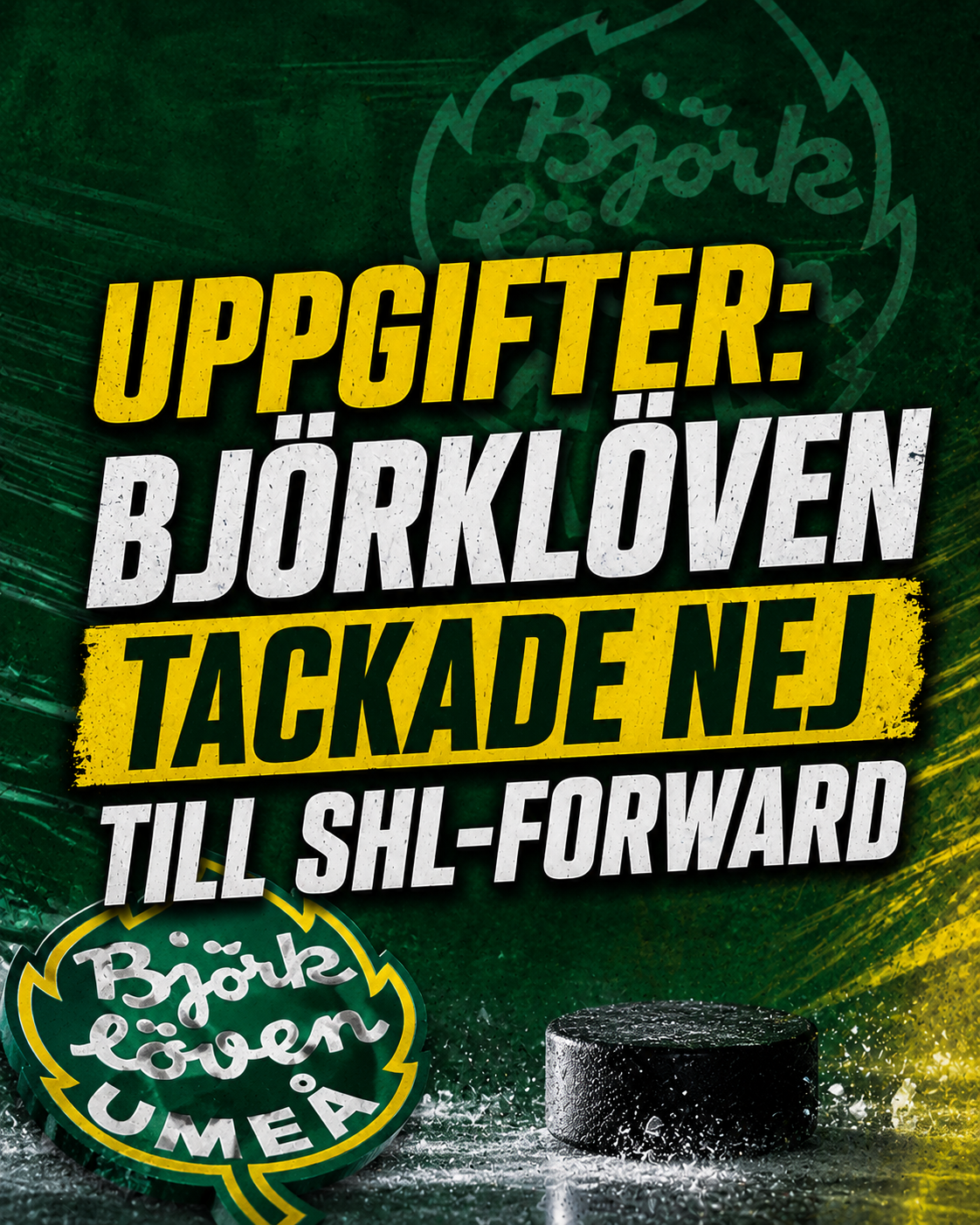 Björklöven: UPPGIFTER: Björklöven tackade nej till SHL-forward