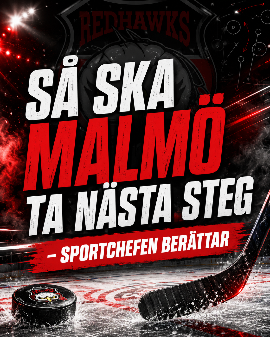 Malmö Redhawks: Så ska Malmö ta nästa steg - sportchefen berättar