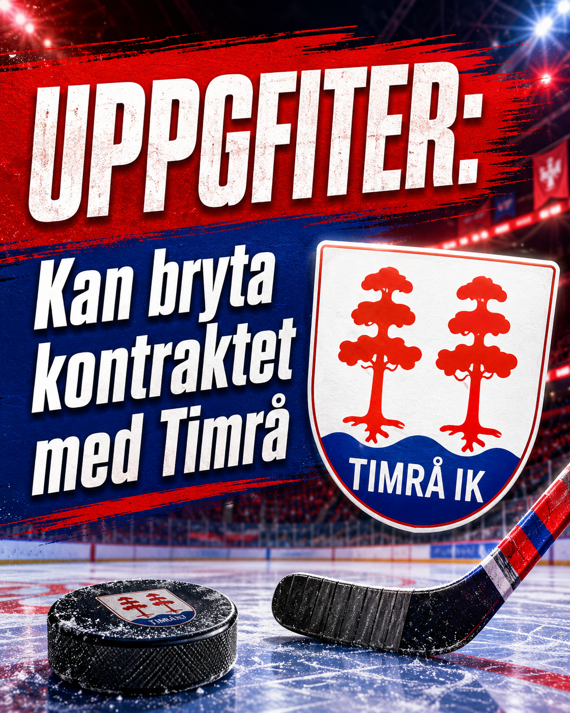 Timrå IK: UPPGFITER: Kan bryta kontraktet med Timrå