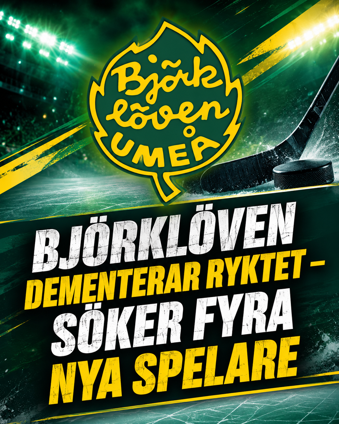 Björklöven dementerar ryktet – söker fyra nya spelare